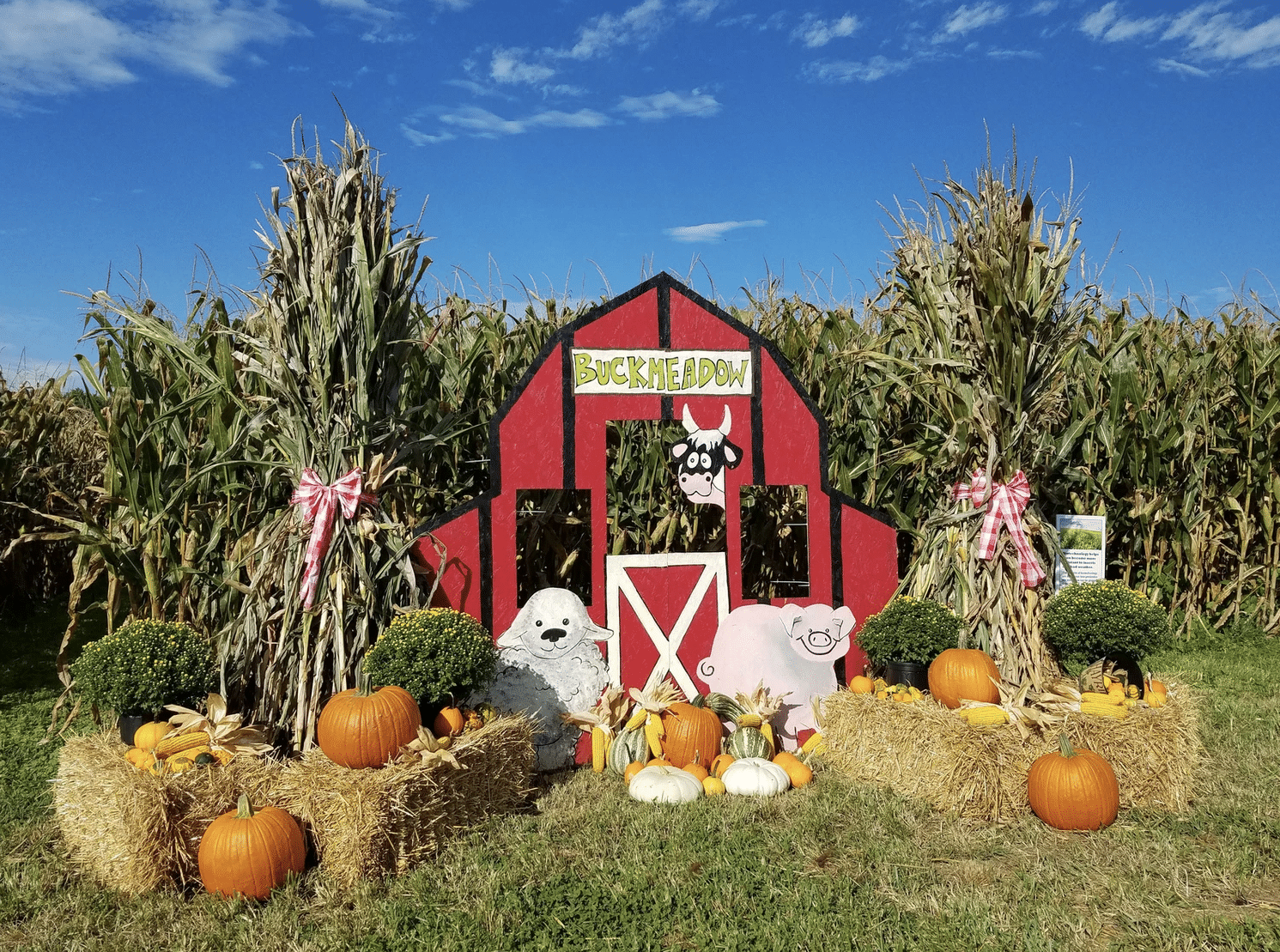 Buckmeadow Farms – Visit Lawrenceburg KY